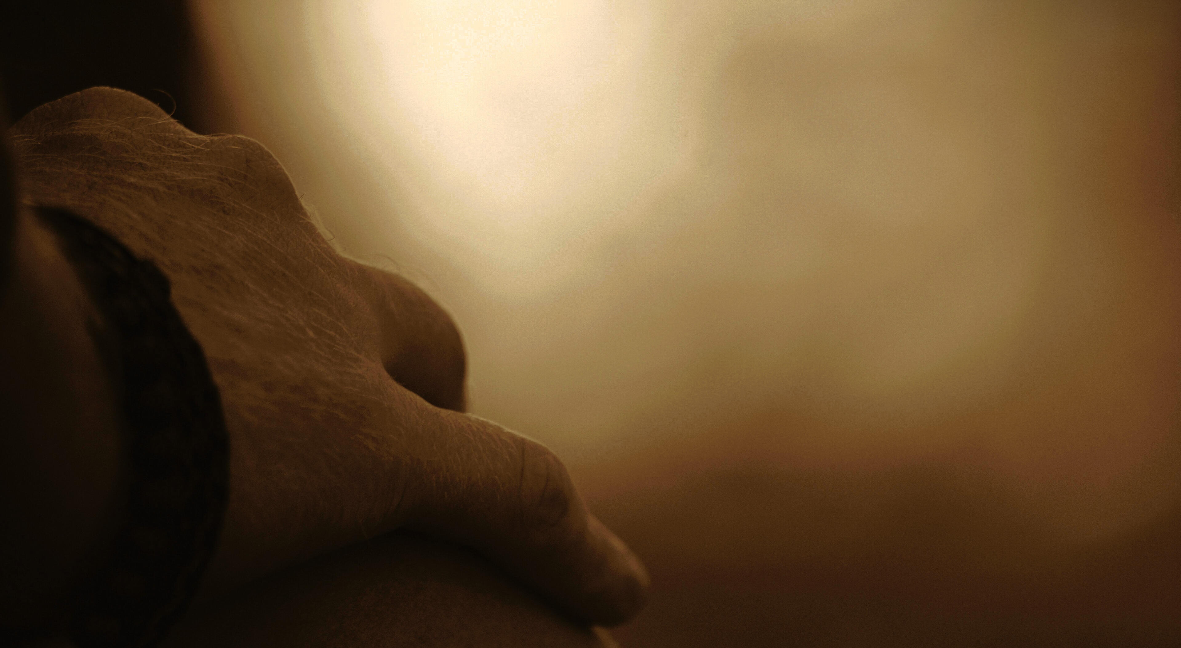 Le geste qui régule. Le contact qui ouvre. La présence qui transforme.